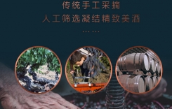 重慶保稅港紅酒市場(chǎng)批發(fā)電話-國產(chǎn)紅酒與進(jìn)口紅酒