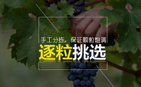 重慶紅酒批發(fā)市場 意大利葡萄酒的銷量將下降