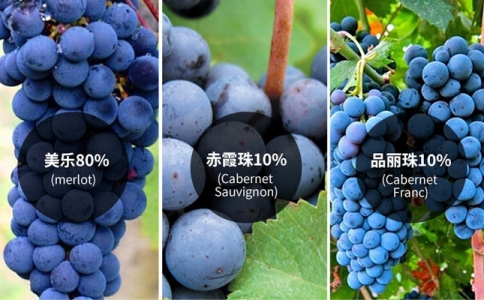 重慶葡萄酒產區(qū) 重慶進口葡萄酒市場 紅酒酒莊旅游
